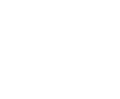 狮拓